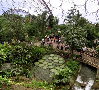 Aerial shot of visitors inside the Rainforest Biome at the Eden Project